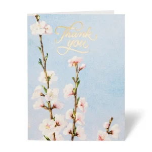 American Florals Thank-You Cards*The Met Store Best Sale