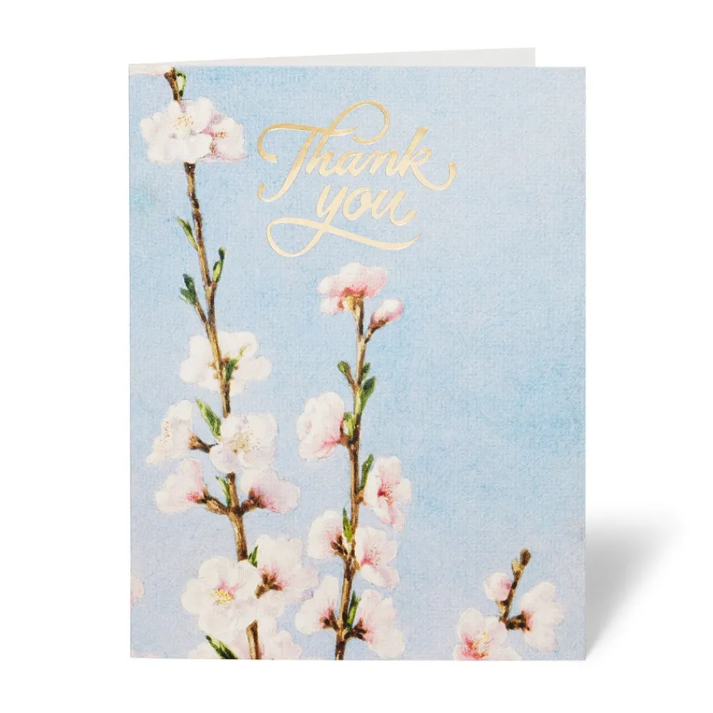 american_florals_thankyou_cards_5.webp American Florals Thank-You Cards*The Met Store Best Sale