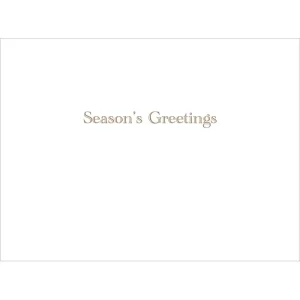 Brockman: Park in Winter Holiday Cards*The Met Store Shop
