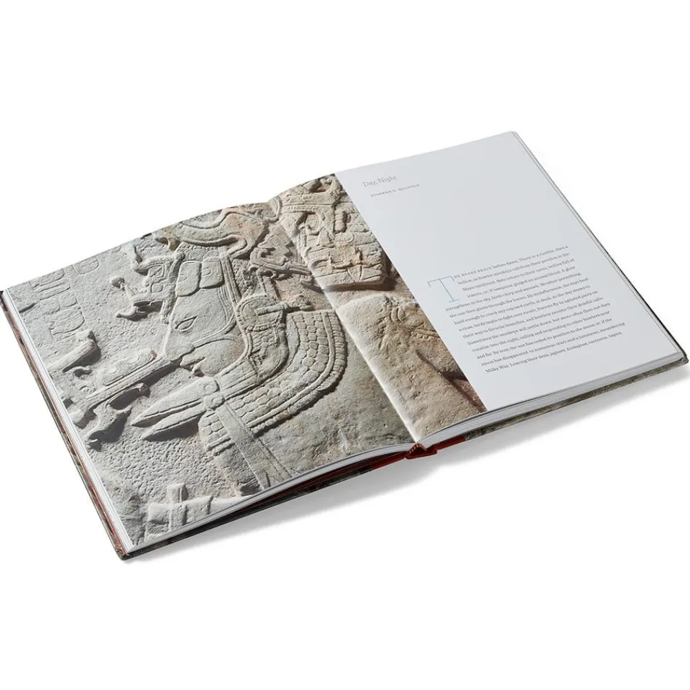 lives_of_the_gods_divinity_in_maya_art_1.webp Lives of the Gods: Divinity in Maya Art*The Met Store Cheap