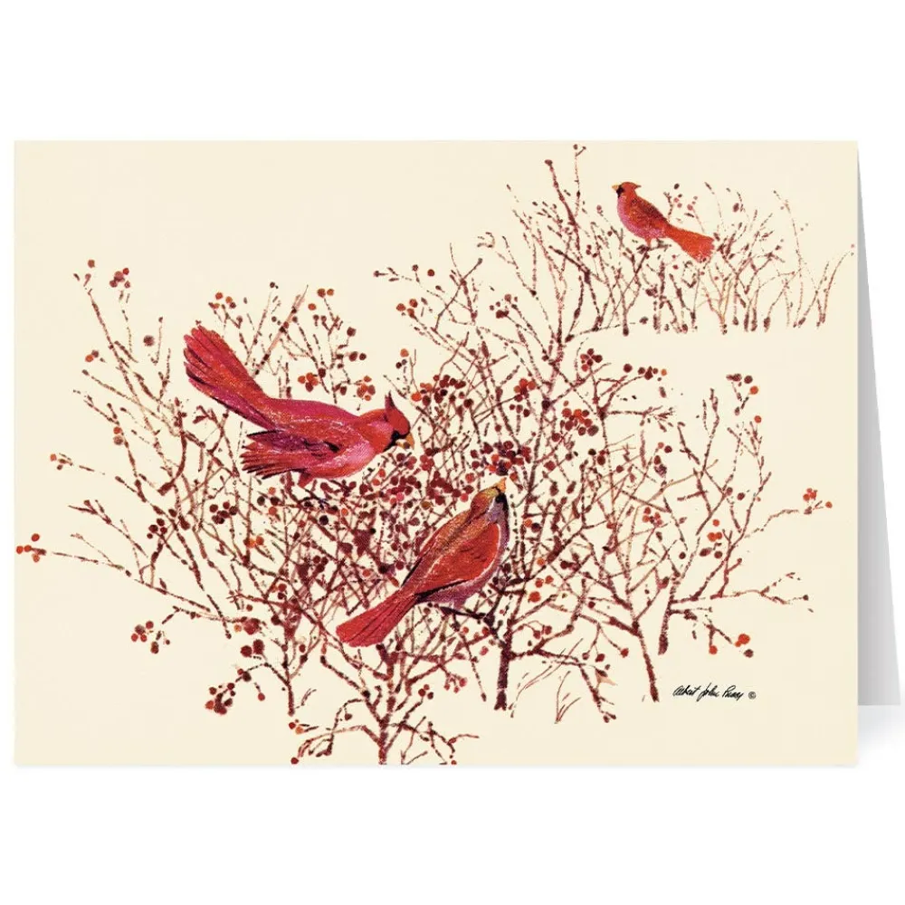 pucci_bushes_berries_and_birds_holiday_cards_0.webp Pucci: Bushes, Berries, and Birds Holiday Cards*The Met Store Shop