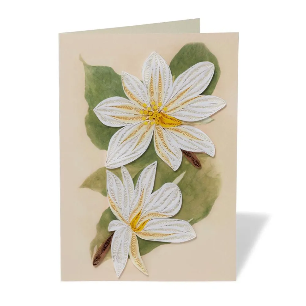 studies_of_magnolias_quilled_card_0.webp Studies of Magnolias Quilled Card*The Met Store Cheap