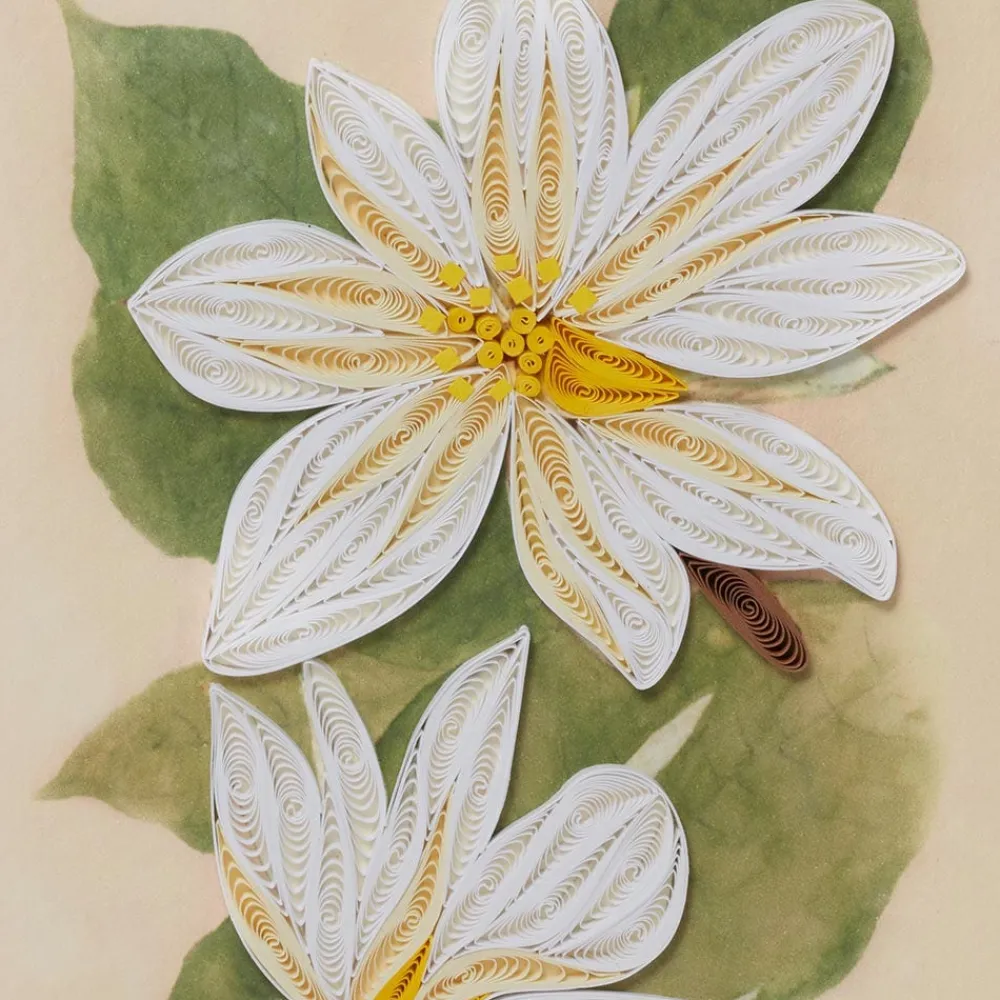 studies_of_magnolias_quilled_card_1.webp Studies of Magnolias Quilled Card*The Met Store Cheap