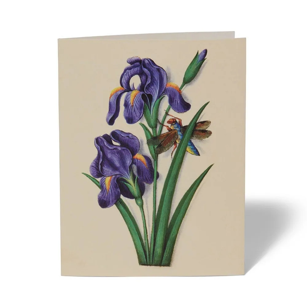 the_met_cloisters_garden_notecards_1.webp The Met Cloisters Garden Notecards*The Met Store Flash Sale