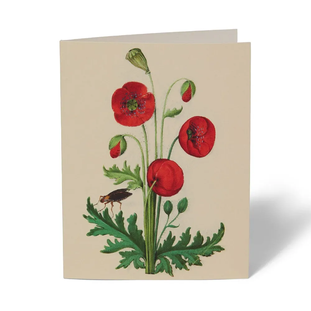 the_met_cloisters_garden_notecards_5.webp The Met Cloisters Garden Notecards*The Met Store Flash Sale
