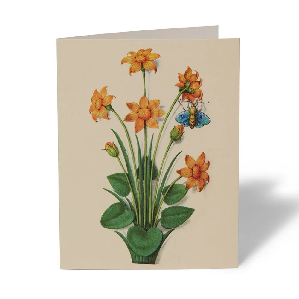 the_met_cloisters_garden_notecards_6.webp The Met Cloisters Garden Notecards*The Met Store Flash Sale