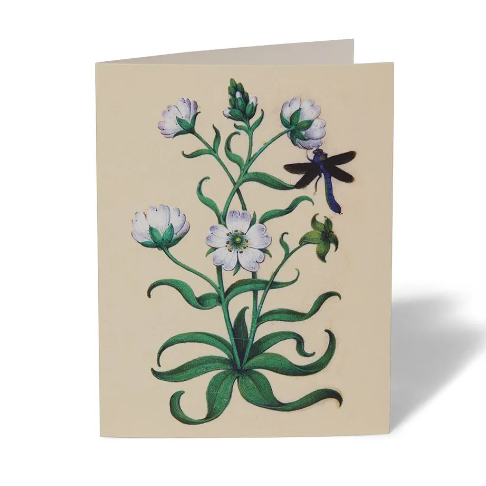 the_met_cloisters_garden_notecards_7.webp The Met Cloisters Garden Notecards*The Met Store Flash Sale