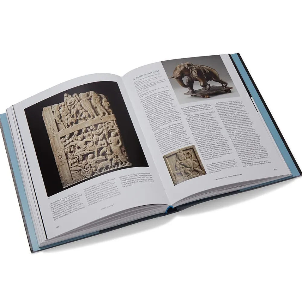tree__serpent_early_buddhist_art_in_india_1.webp Tree & Serpent: Early Buddhist Art in India*The Met Store Outlet