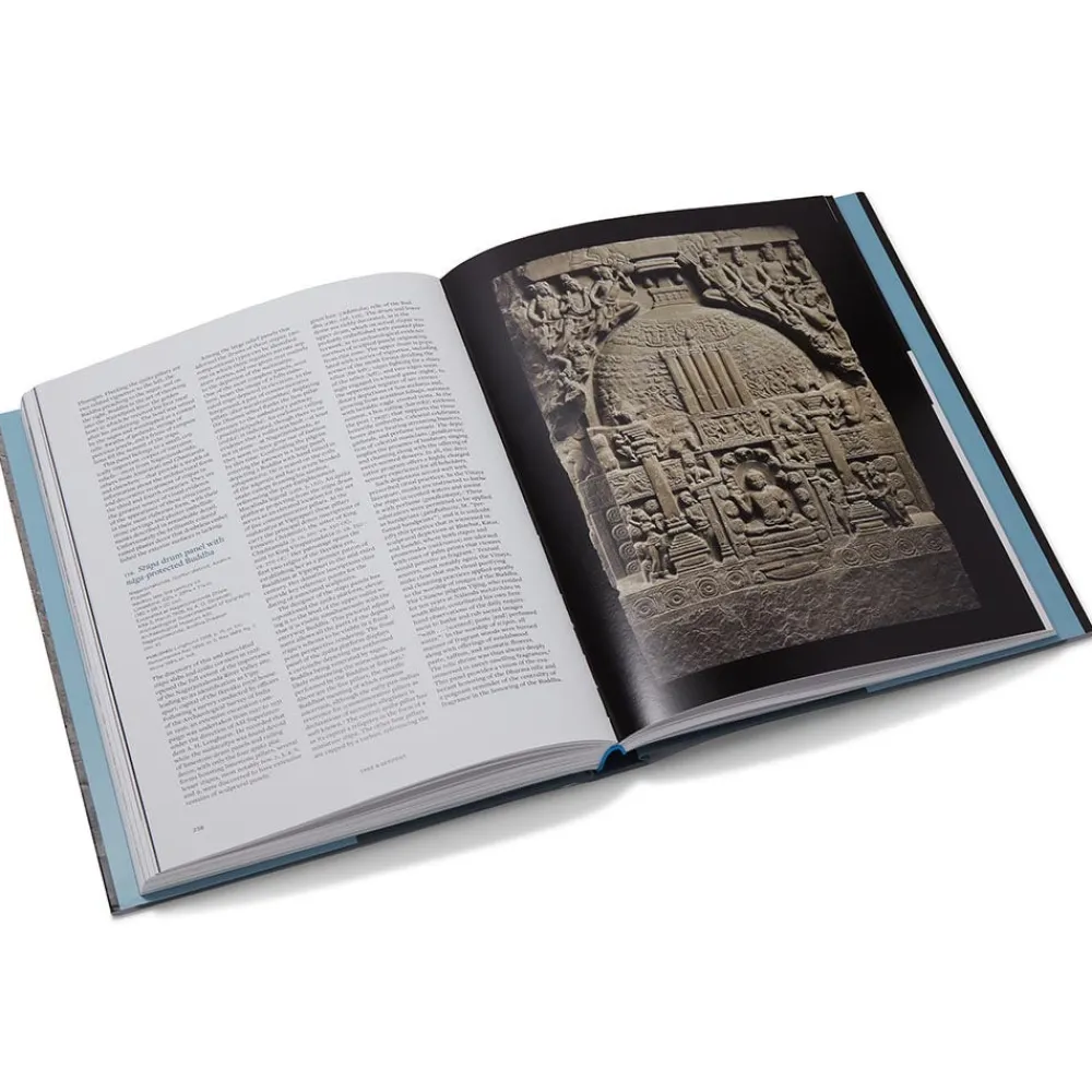 tree__serpent_early_buddhist_art_in_india_2.webp Tree & Serpent: Early Buddhist Art in India*The Met Store Outlet