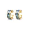 Van Gogh Irises Enamel Hoop Earrings*The Met Store Cheap